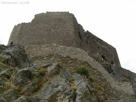 img 0595