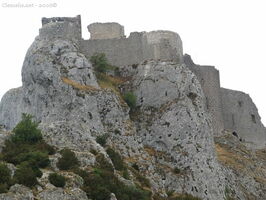 img 0611