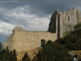 img 0603