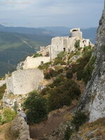 img 0605