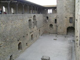 img 0458