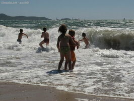 img 0359