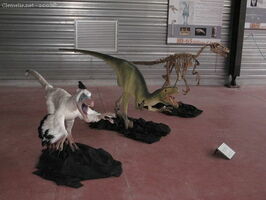 img 0617
