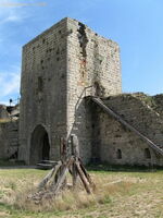 img 0399