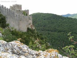 img 0570