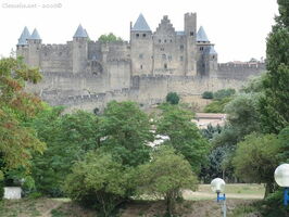 img 0441