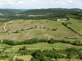 img 0406