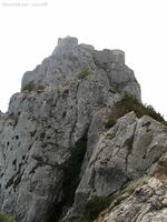img 0609