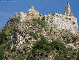 img 0481