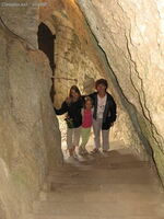 img 0509