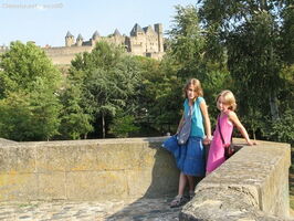 img 0461