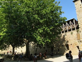 img 0454