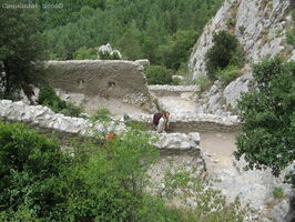 img 0576