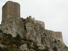 img 0598