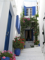 img 0455