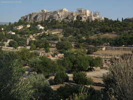 img 0216