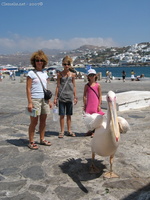 img 0430