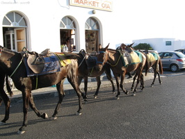 img 0370
