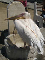 img 0467