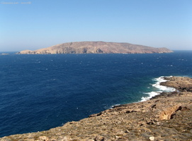 img 0446