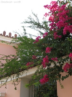 img 0257