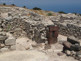 img 0300