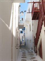 img 0459