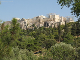 img 0208