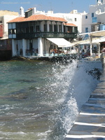 img 0464