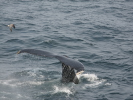 2010-08-17 22.26 82.