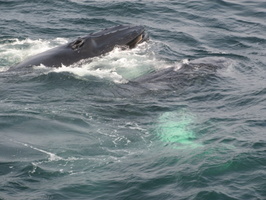 2010-08-17 22.29 87.