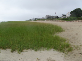 2010-08-17 17.21 68.