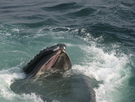 2010-08-17 22.29 86.