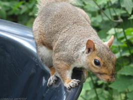 2010-08-09 19.34 11.