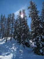 2016-03-09 13.59.27 06