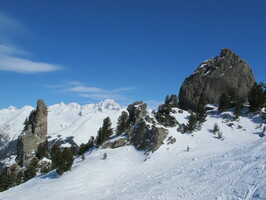 2016-03-11 12.13.25 09