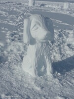 2016-03-11 16.13.30 11