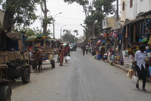 Saly IMG 1514