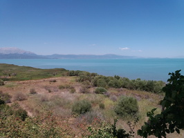 2018-08-17 11-36-07