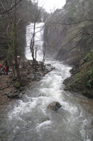 20190210104547-f07e7269