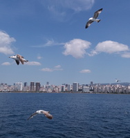 InShot 20190424 233720819