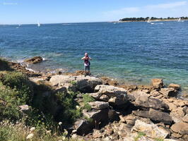 2020-07-13 13-20-40 03