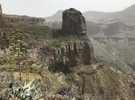 2021-07-12 16-26-51