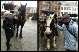 2022-12-30 193442 horses